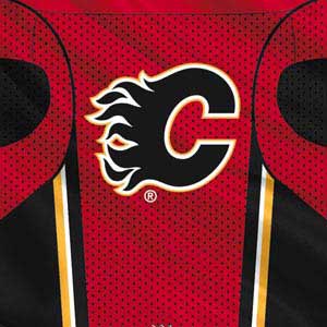 NHL Calgary Flames Home Jersey Steam Deck Handheld Gaming Computer Skin
